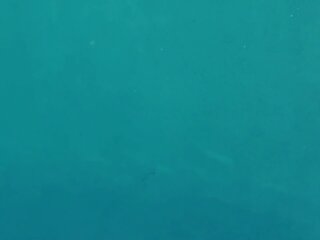 Underwater Hottest Gymnastics by Micha Gantelkina: Porn b8 | xHamster